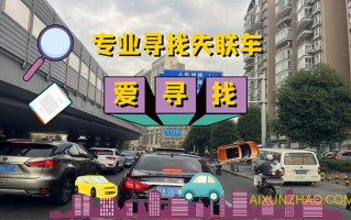 专业寻找失联车