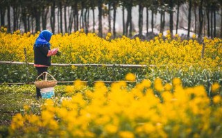 惠州寻人公益平台，科技与爱心的结合，照亮走失者回家的路