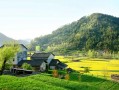 河北寻人服务，官方网站入口与操作指南