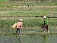 湖北公安免费寻人平台，科技与人文关怀的结合